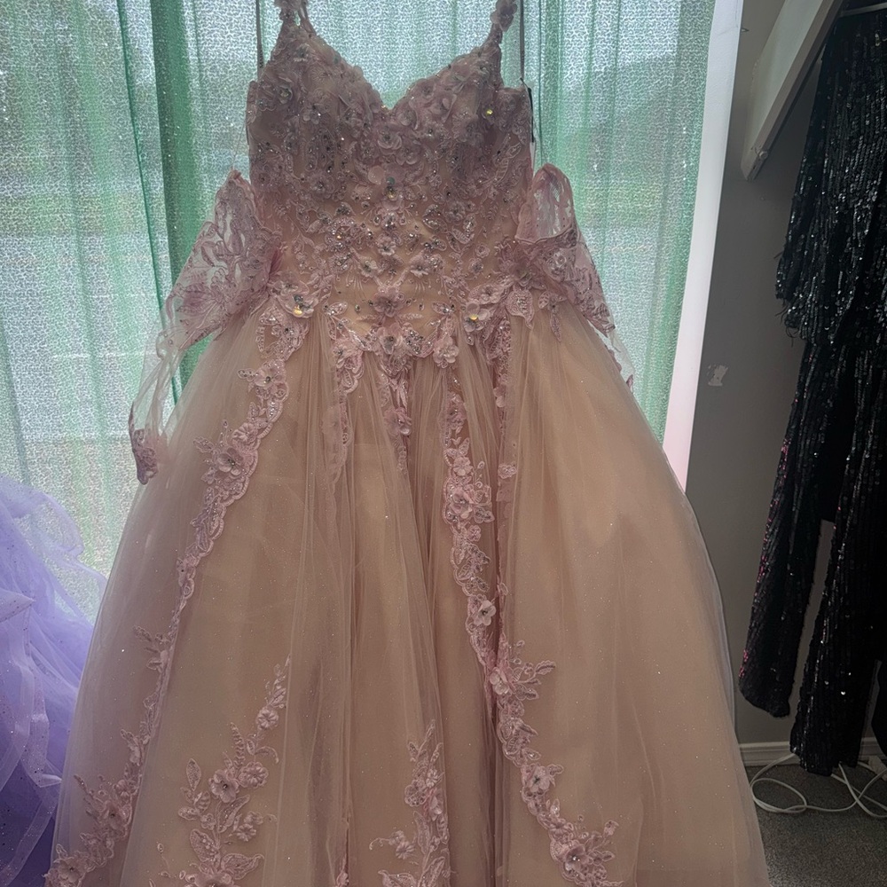 NEW Quinceanera ballgown.
